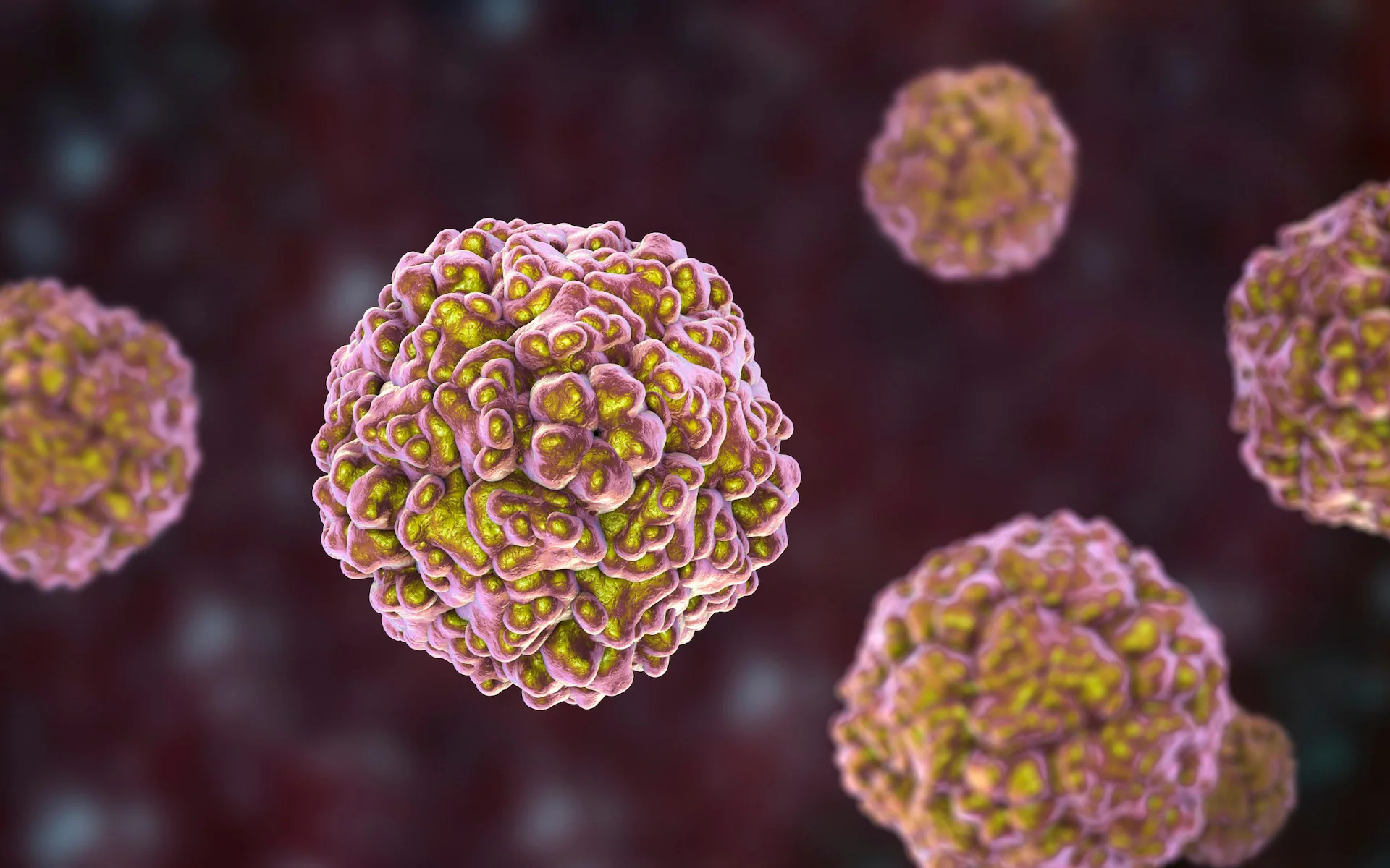 Microscope image of pink and gold cells clustered together